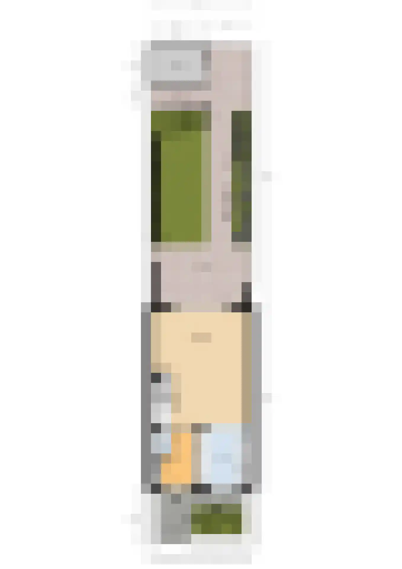 Etienne de Pinedaweg 6 Austerlitz thumbnail 60