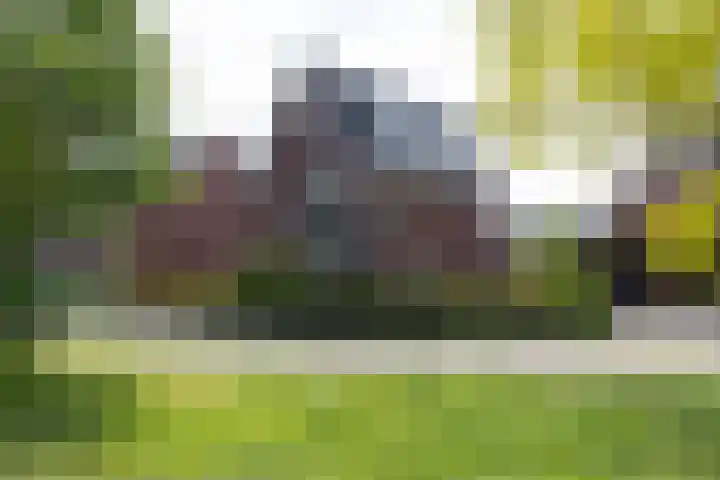 Foto van Etienne van Hooff