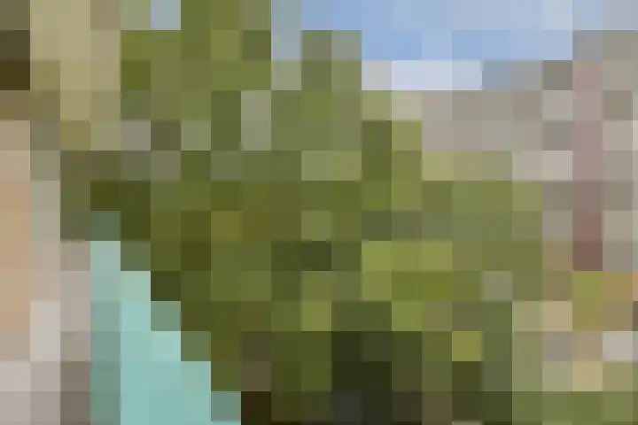 Etna 21 Amstelveen thumbnail 14
