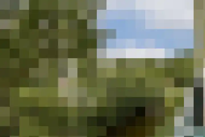 Etna 21 Amstelveen thumbnail 16