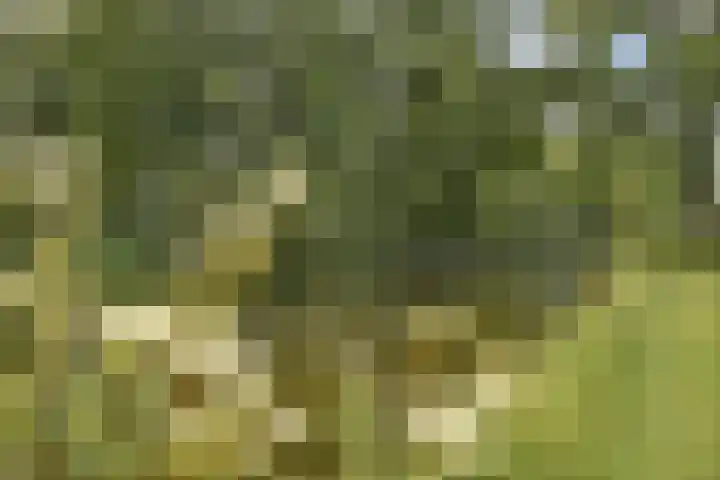 Etna 21 Amstelveen thumbnail 25