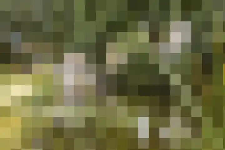 Etna 21 Amstelveen thumbnail 26