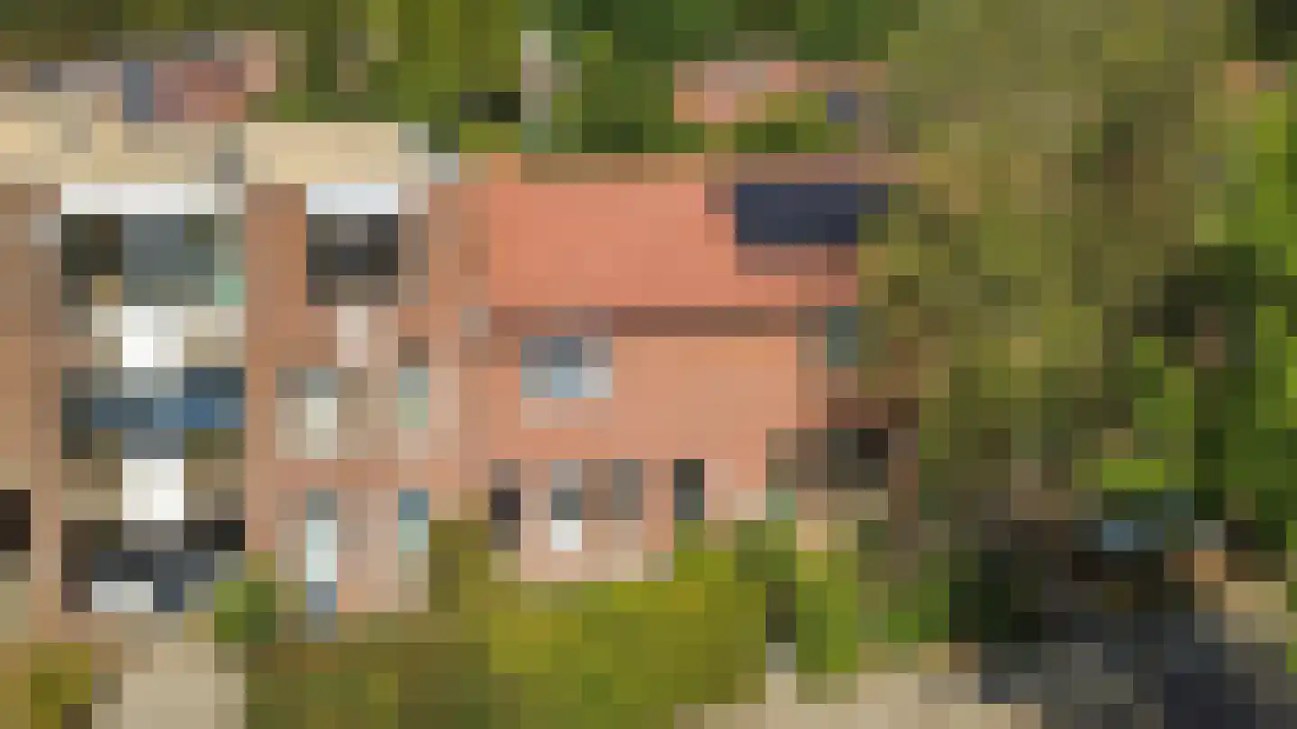 Etna 36 Utrecht thumbnail 32