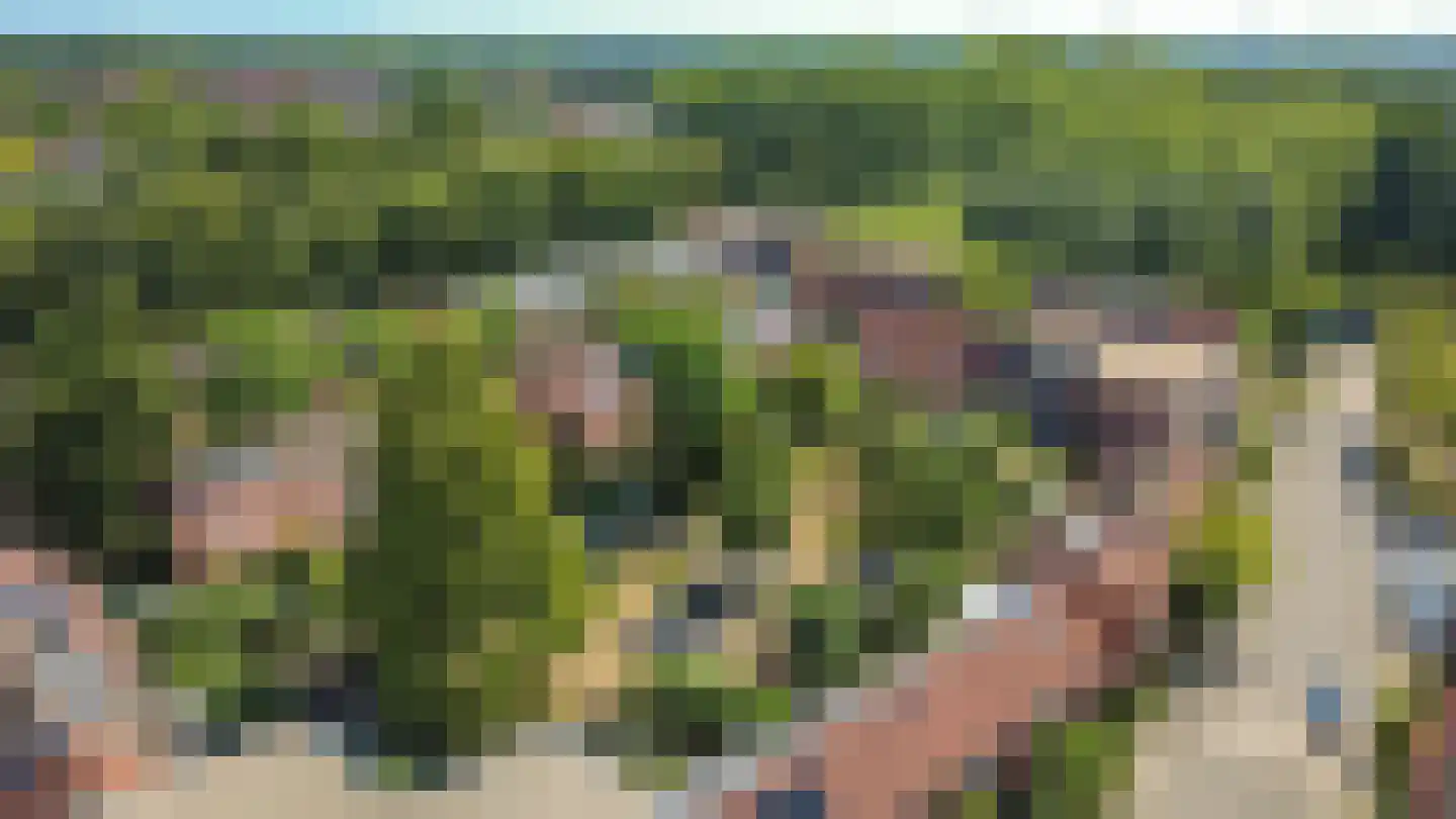 Etna 36 Utrecht thumbnail 37