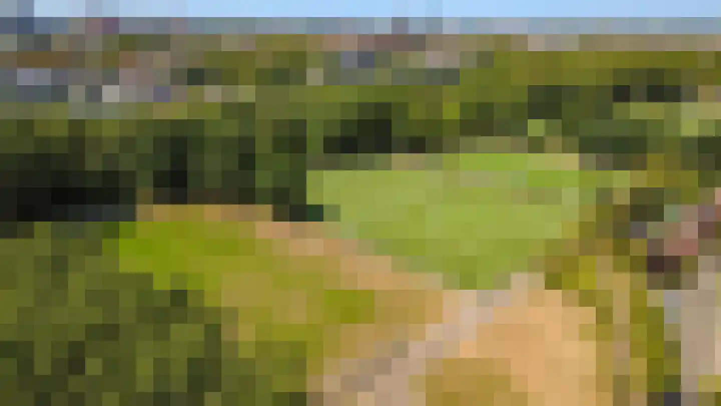 Etna 36 Utrecht thumbnail 41