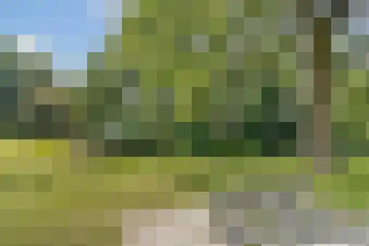 Etna 8 Amstelveen thumbnail 28