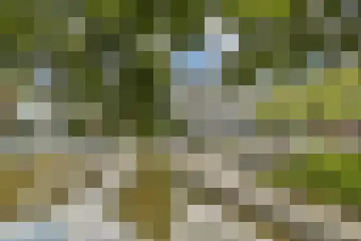 Etna 8 Amstelveen thumbnail 29