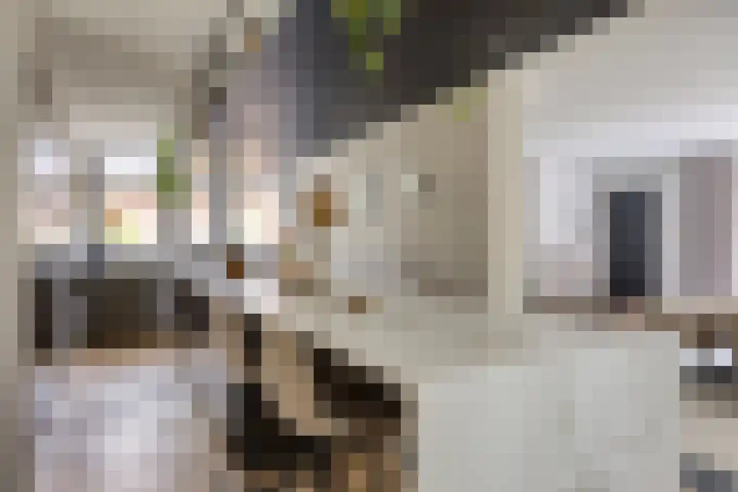 Etnalaan 5 Venray thumbnail 14