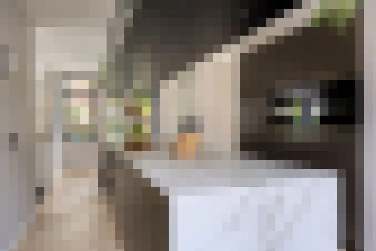 Etnalaan 5 Venray thumbnail 17