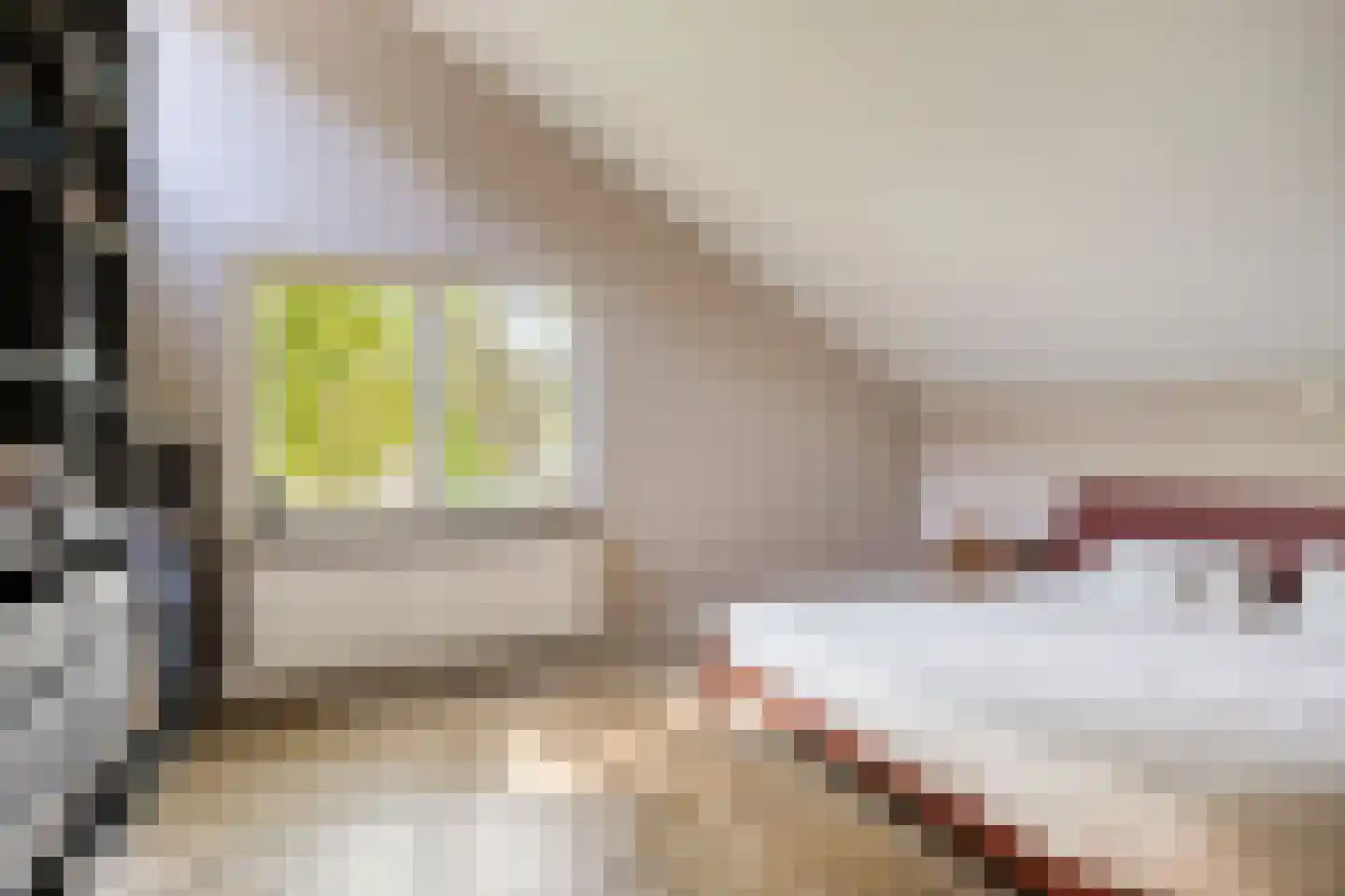 Etnalaan 5 Venray thumbnail 31