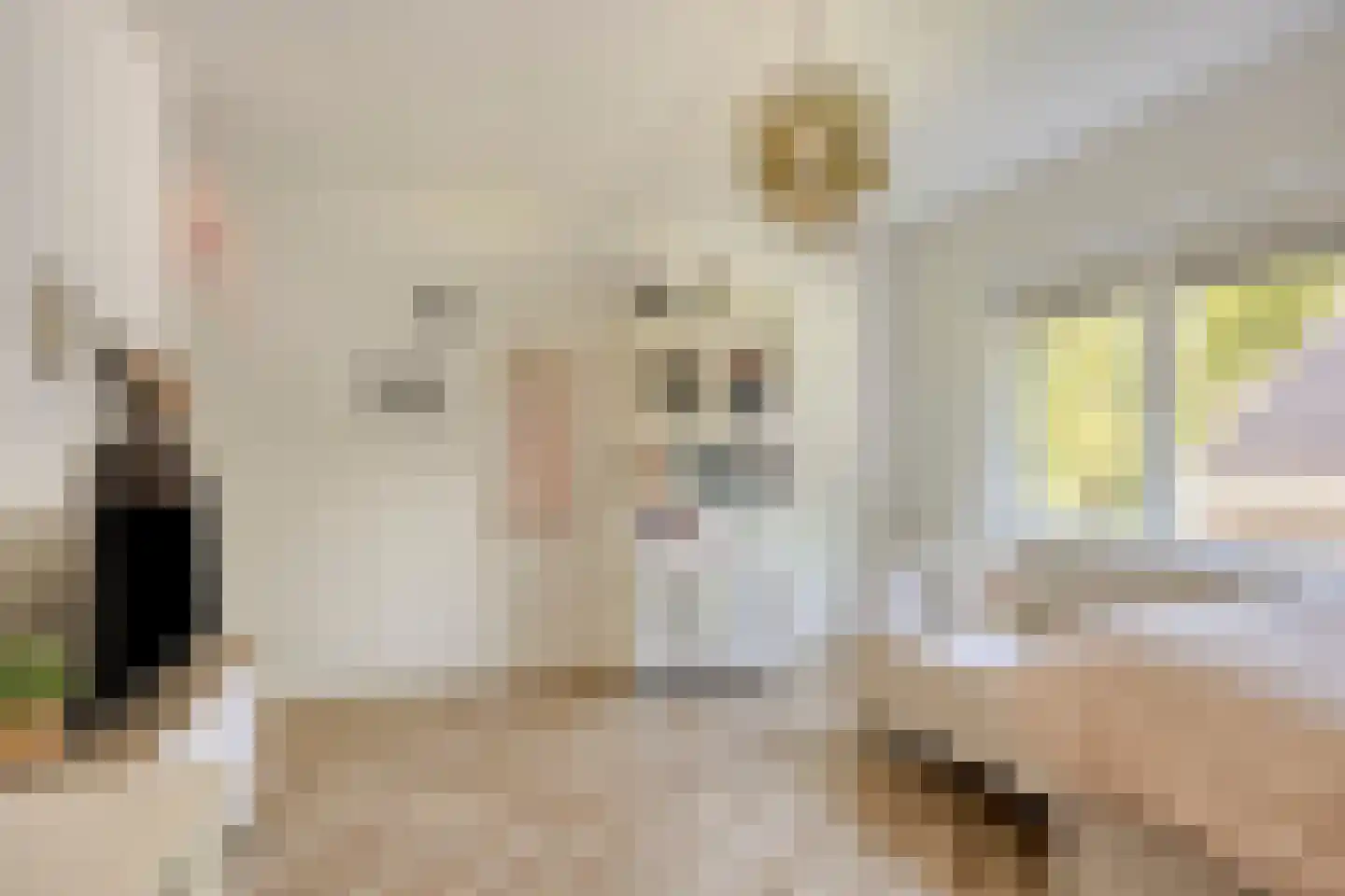 Etnalaan 5 Venray thumbnail 41