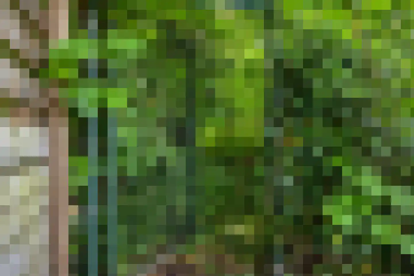 Etnalaan 5 Venray thumbnail 52