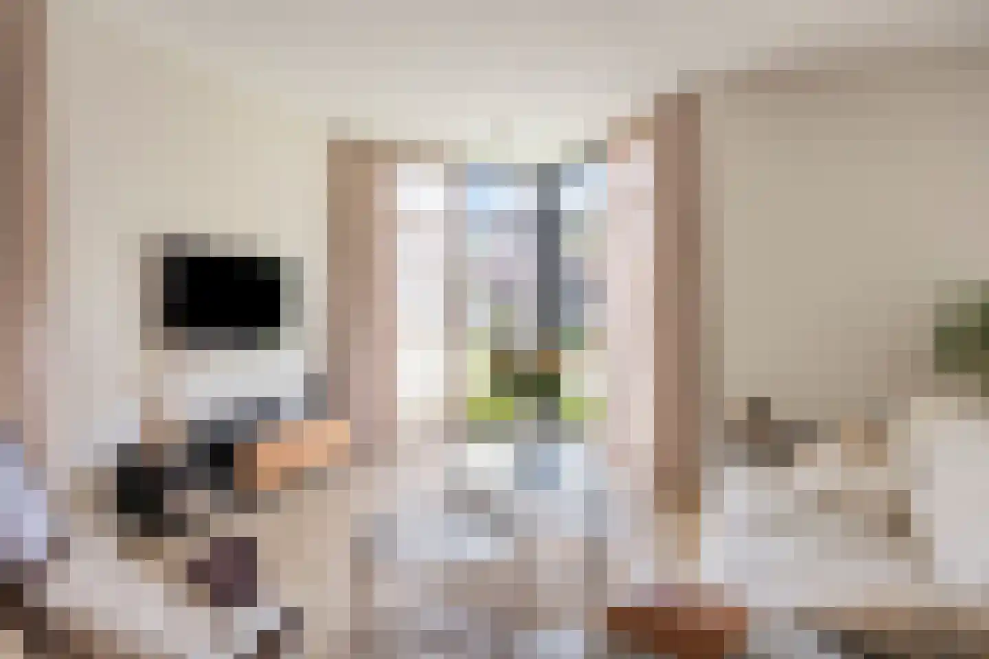 Etnalaan 5 Venray thumbnail 9