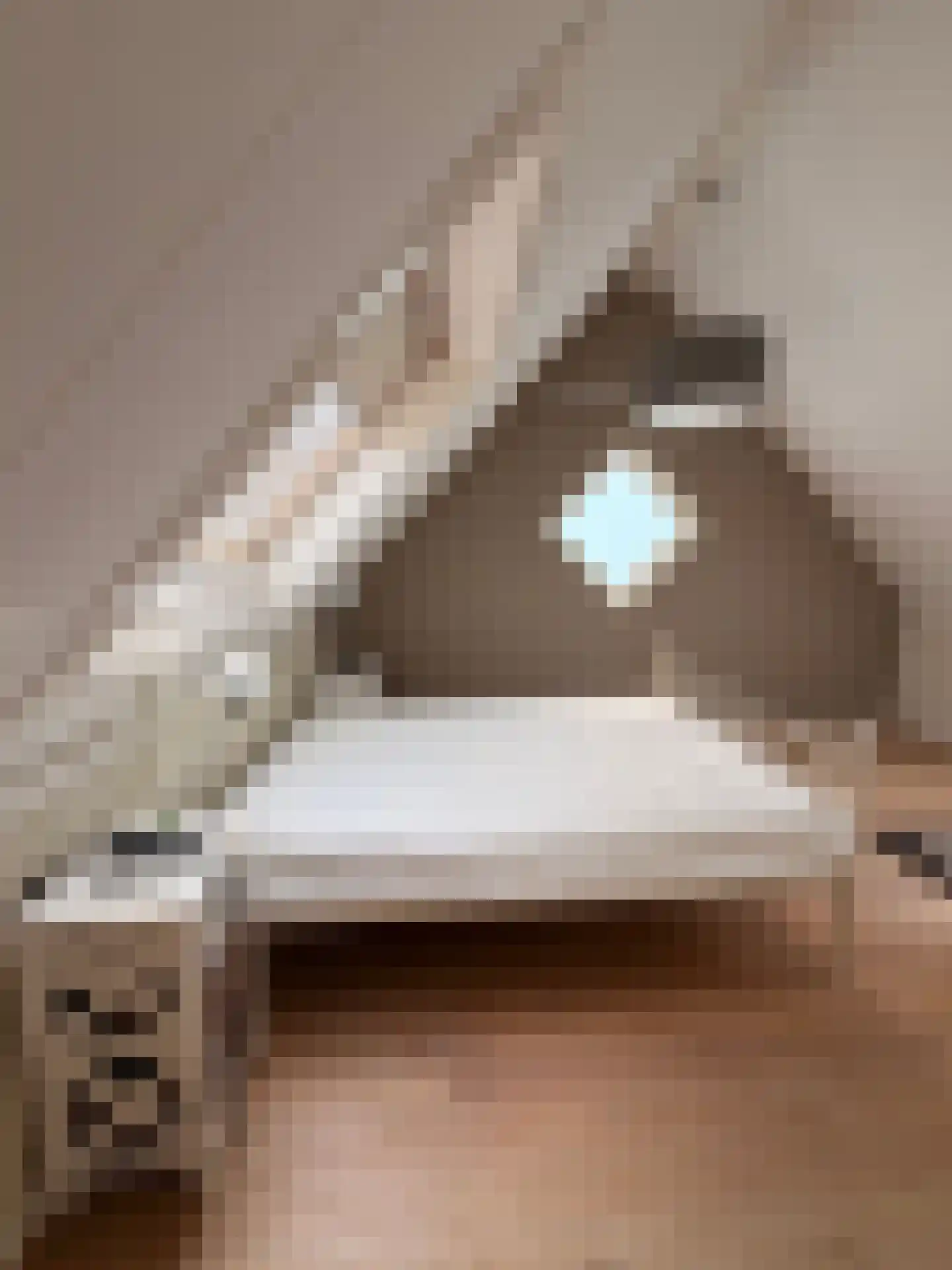 Etnastraat 16 Tilburg thumbnail 13