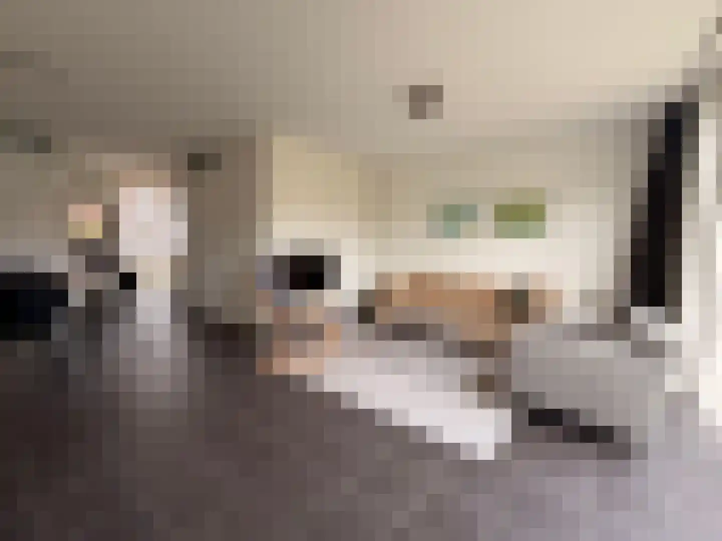 Etnastraat 16 Tilburg thumbnail 5