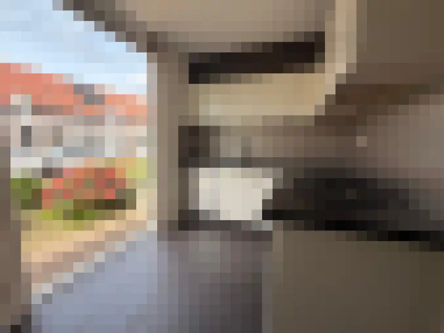 Etnastraat 16 Tilburg thumbnail 7