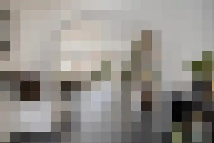 Etnastraat 4 Tilburg thumbnail 10