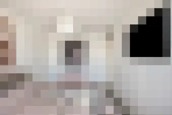 Etnastraat 4 Tilburg thumbnail 21