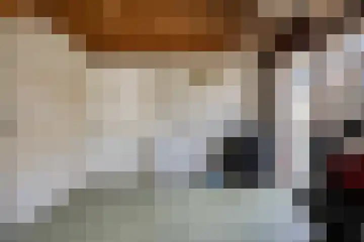 Etnastraat 4 Tilburg thumbnail 34