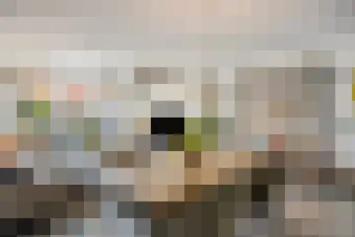 Etnastraat 4 Tilburg thumbnail 7