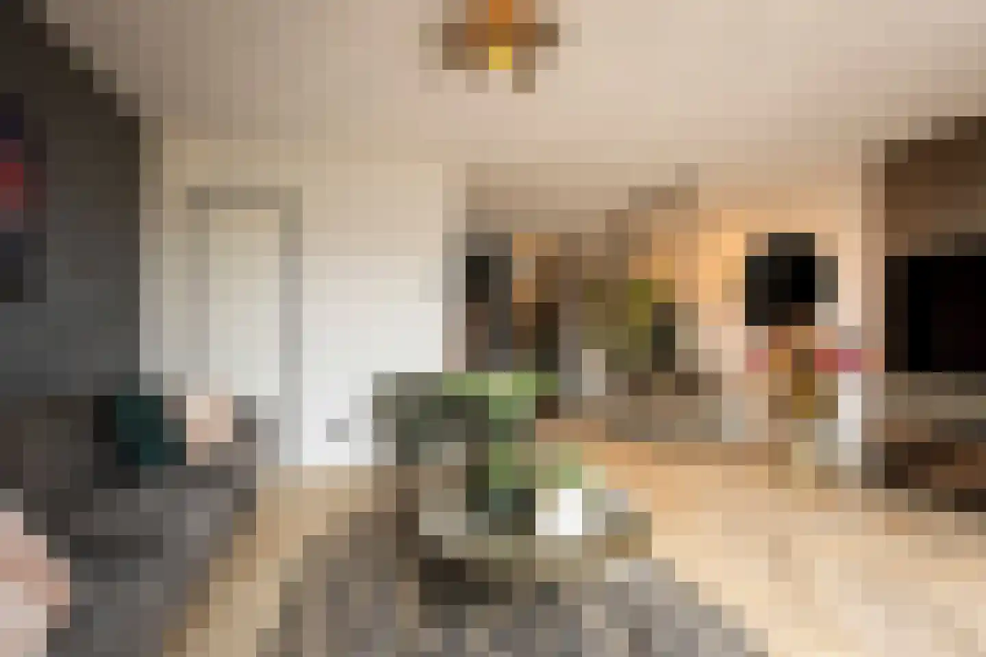 Etnastraat 6 Tilburg thumbnail 14