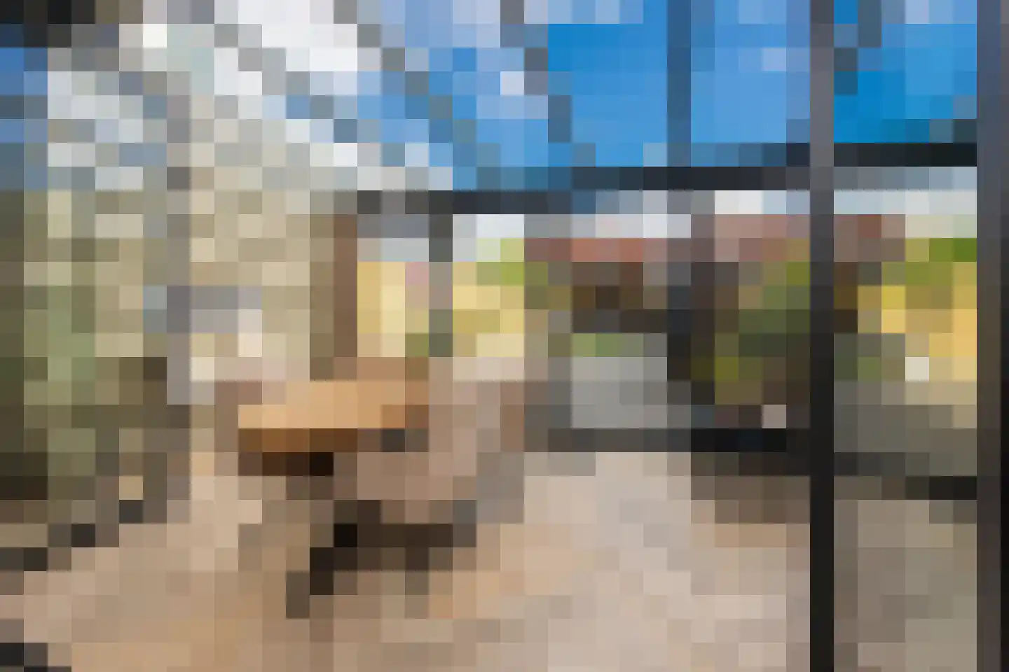 Etnastraat 6 Tilburg thumbnail 17