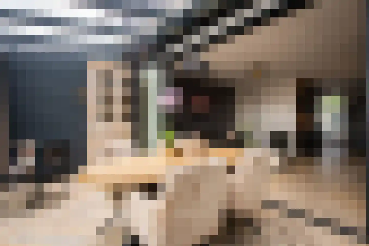Etnastraat 6 Tilburg thumbnail 18