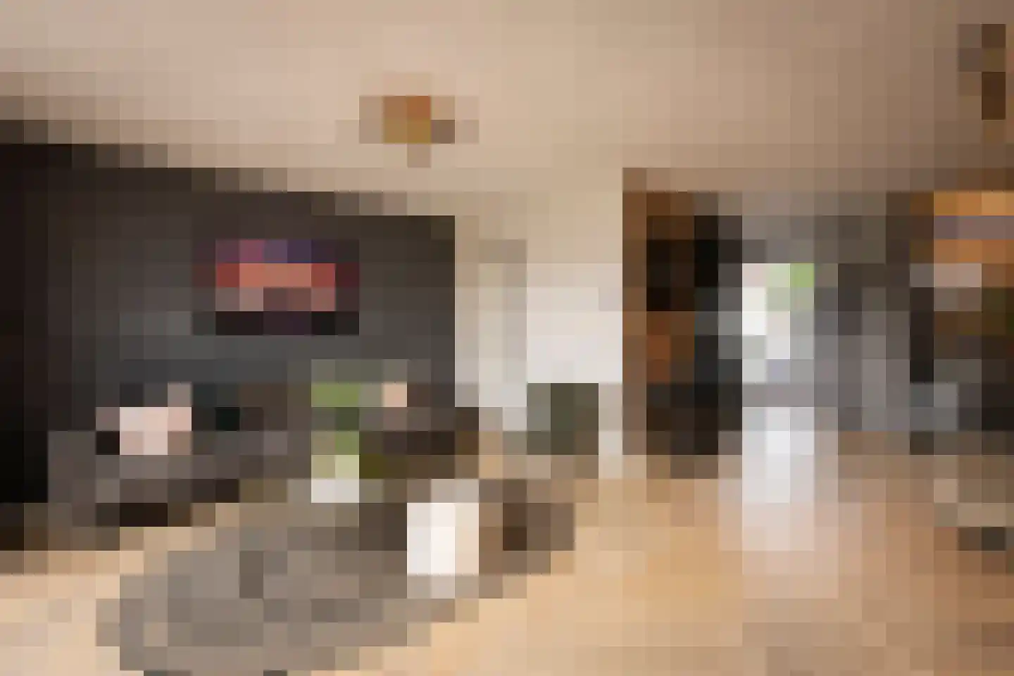 Etnastraat 6 Tilburg thumbnail 19