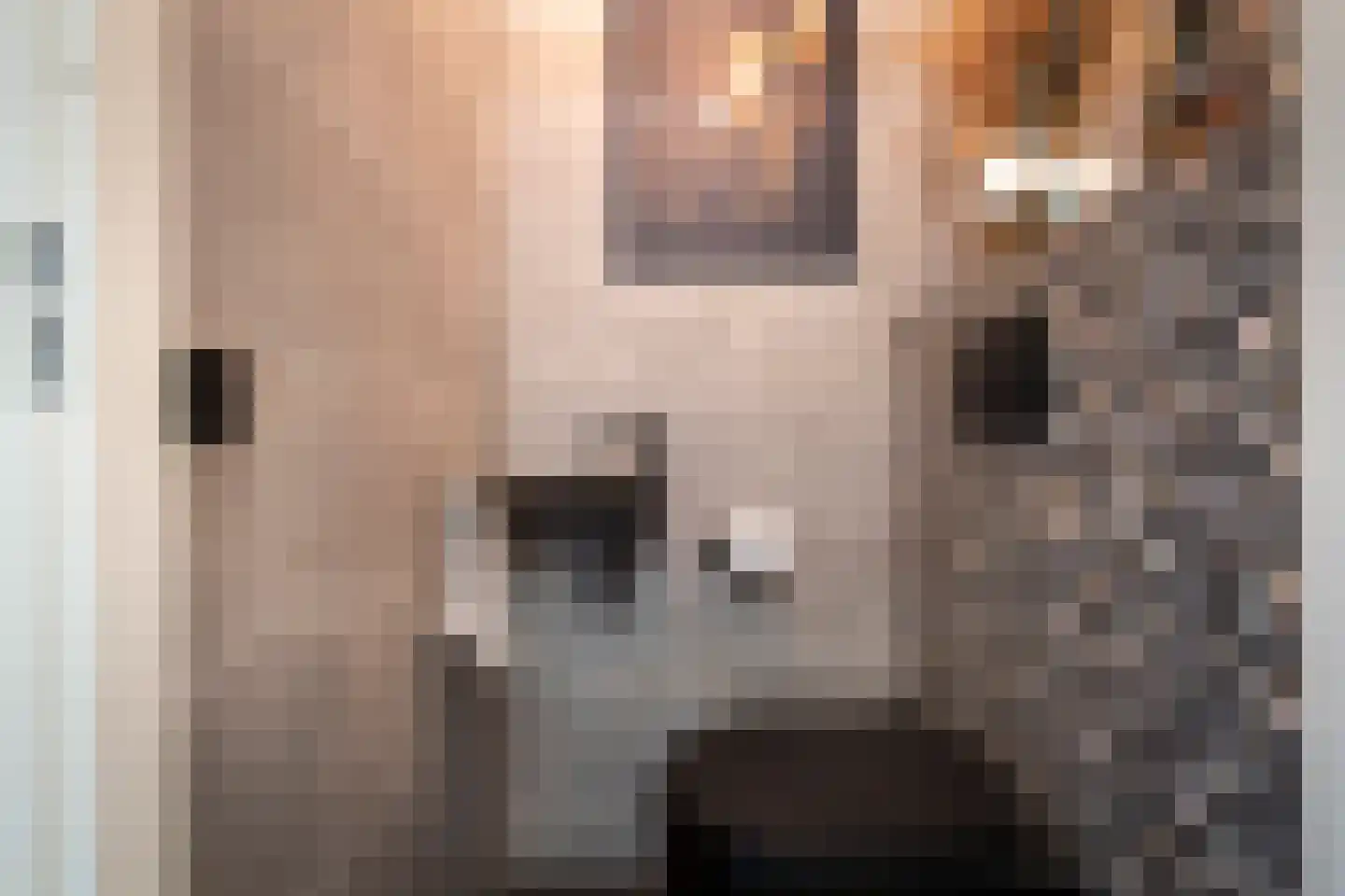 Etnastraat 6 Tilburg thumbnail 25
