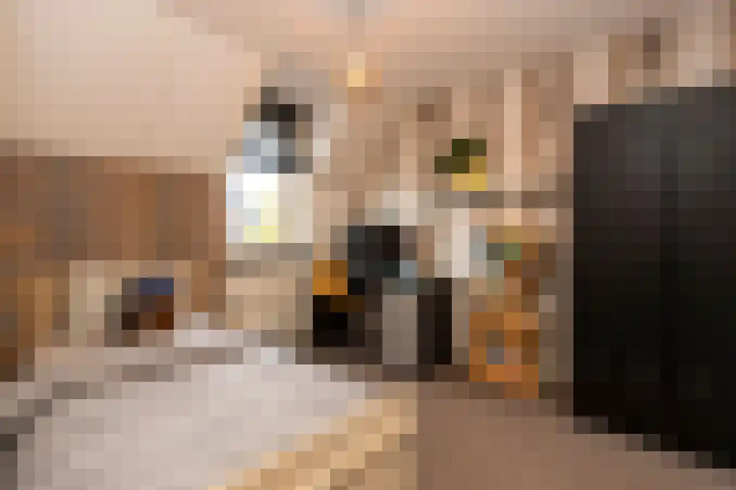 Etnastraat 6 Tilburg thumbnail 31