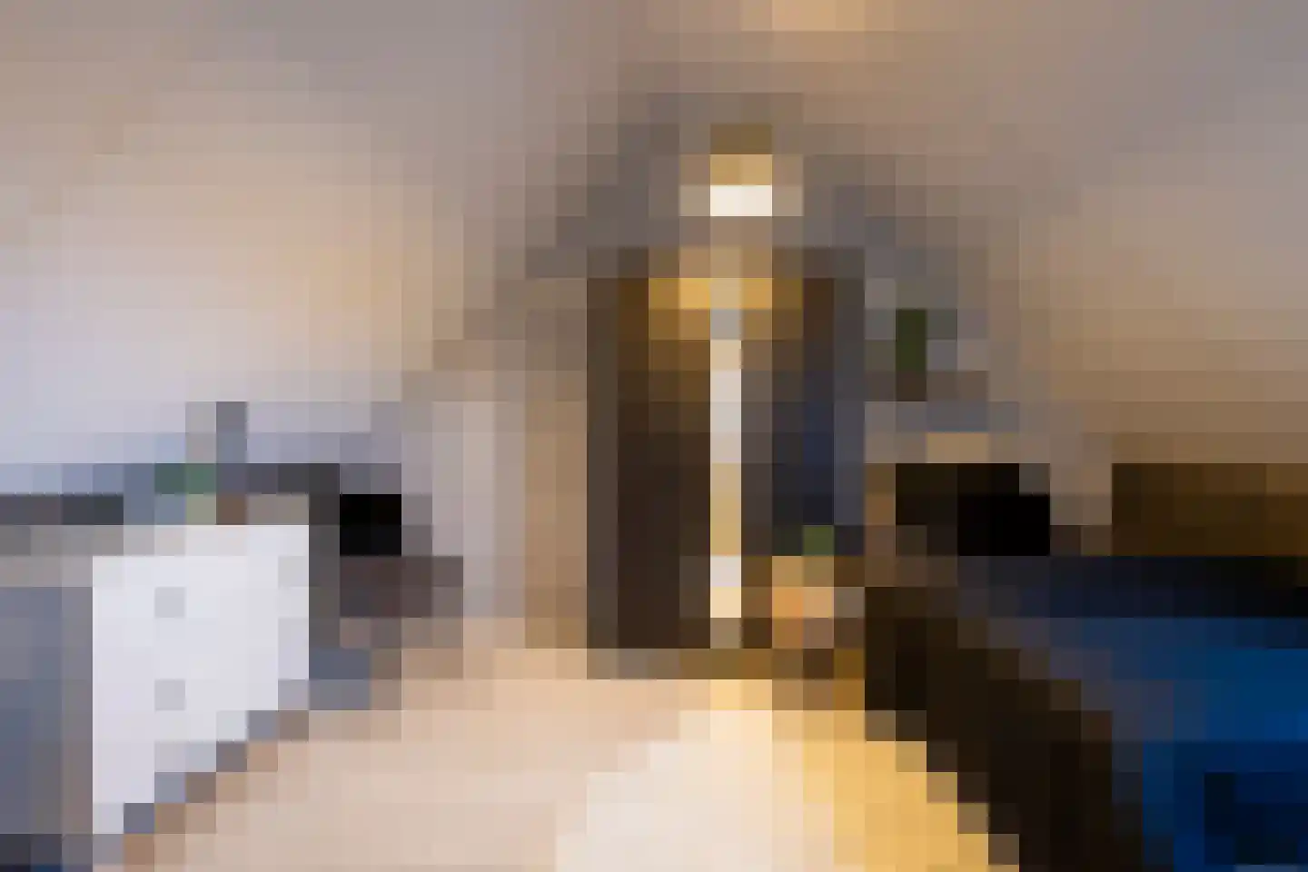 Etnastraat 6 Tilburg thumbnail 39