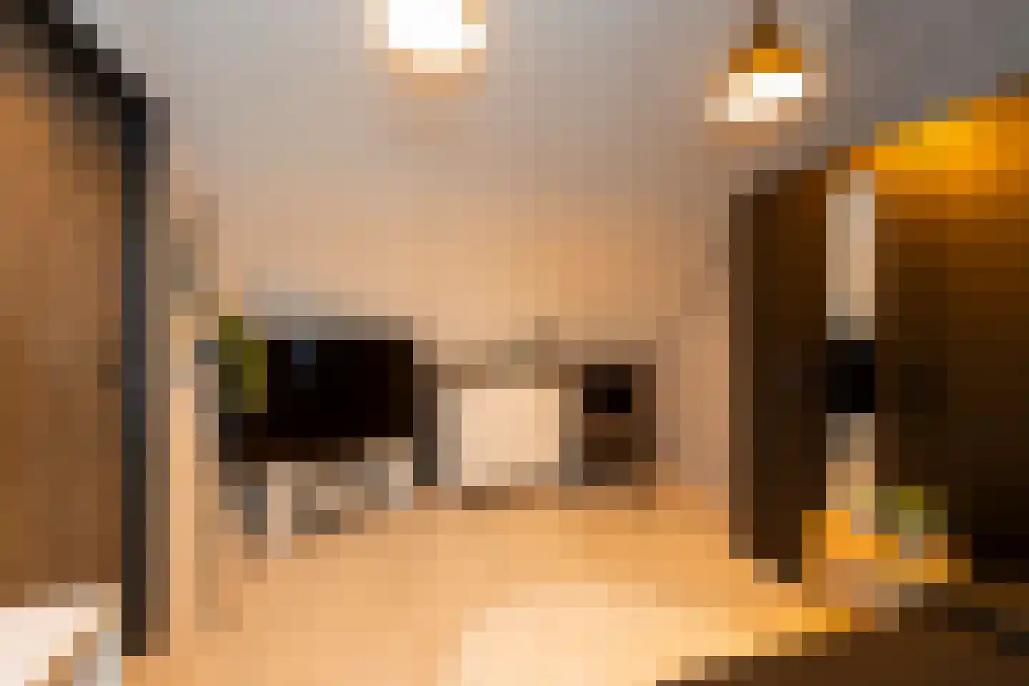 Etnastraat 6 Tilburg thumbnail 41