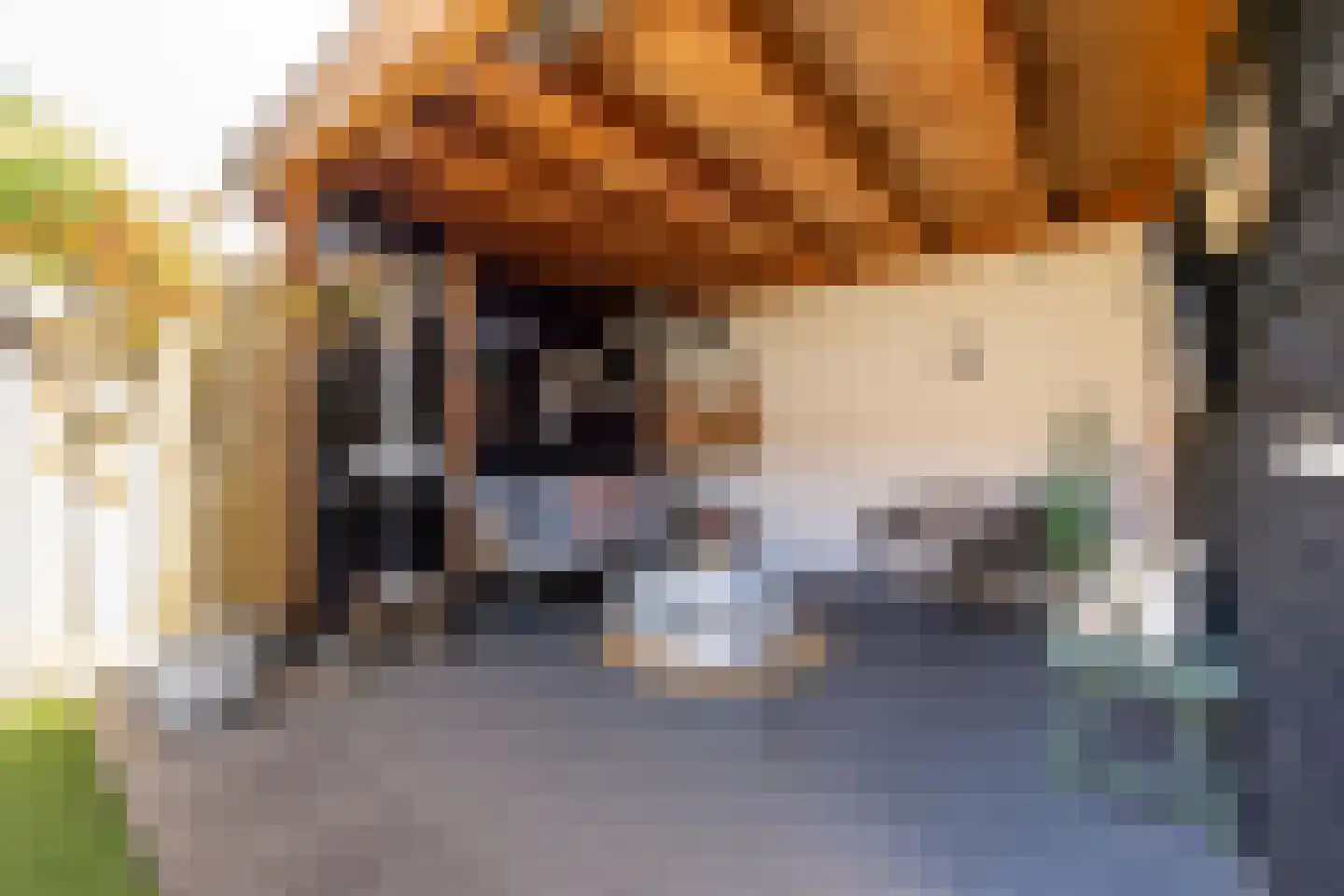 Etnastraat 6 Tilburg thumbnail 48
