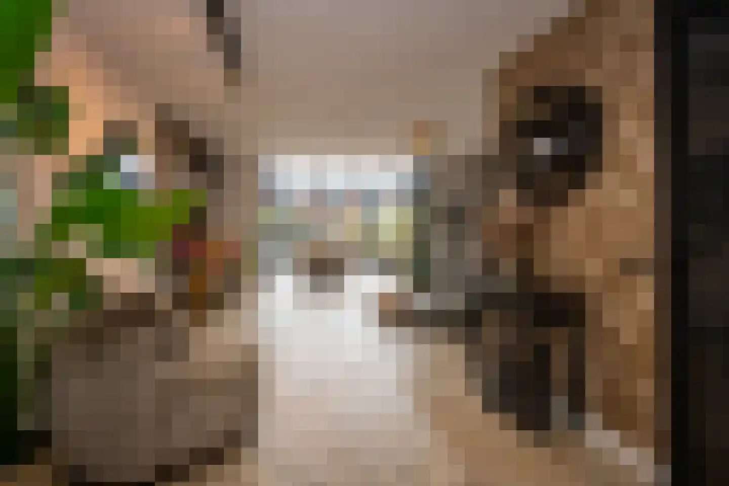Etnastraat 6 Tilburg thumbnail 8