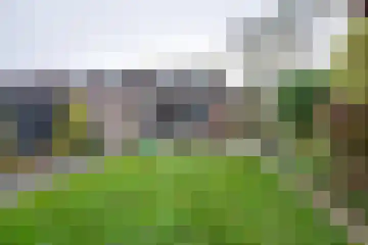 Etserstraat 7 Purmerend thumbnail 34