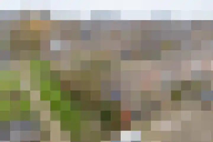 Etserstraat 7 Purmerend thumbnail 52