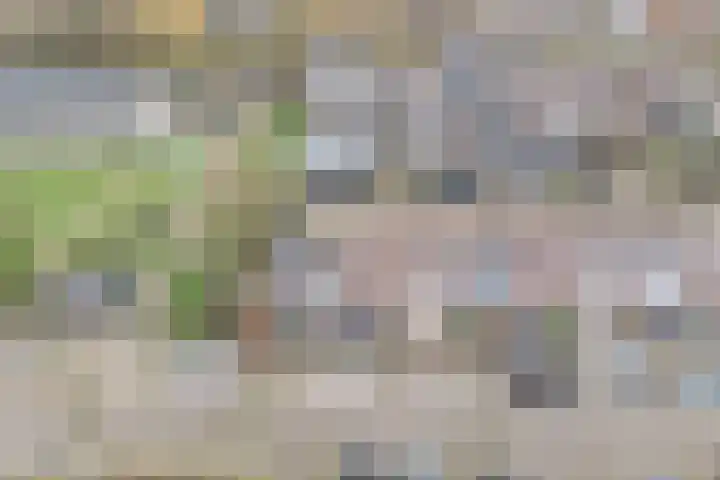 Etserstraat 7 Purmerend thumbnail 7