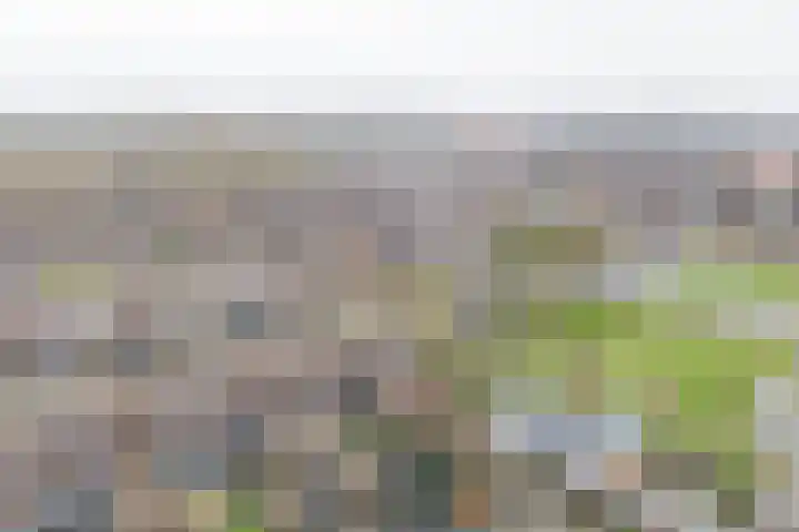 Etserstraat 7 Purmerend thumbnail 9