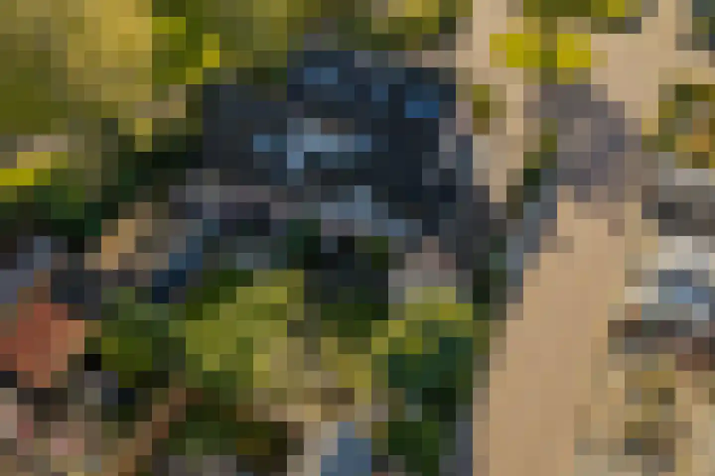 Etstoel 1 Zuidwolde thumbnail 47