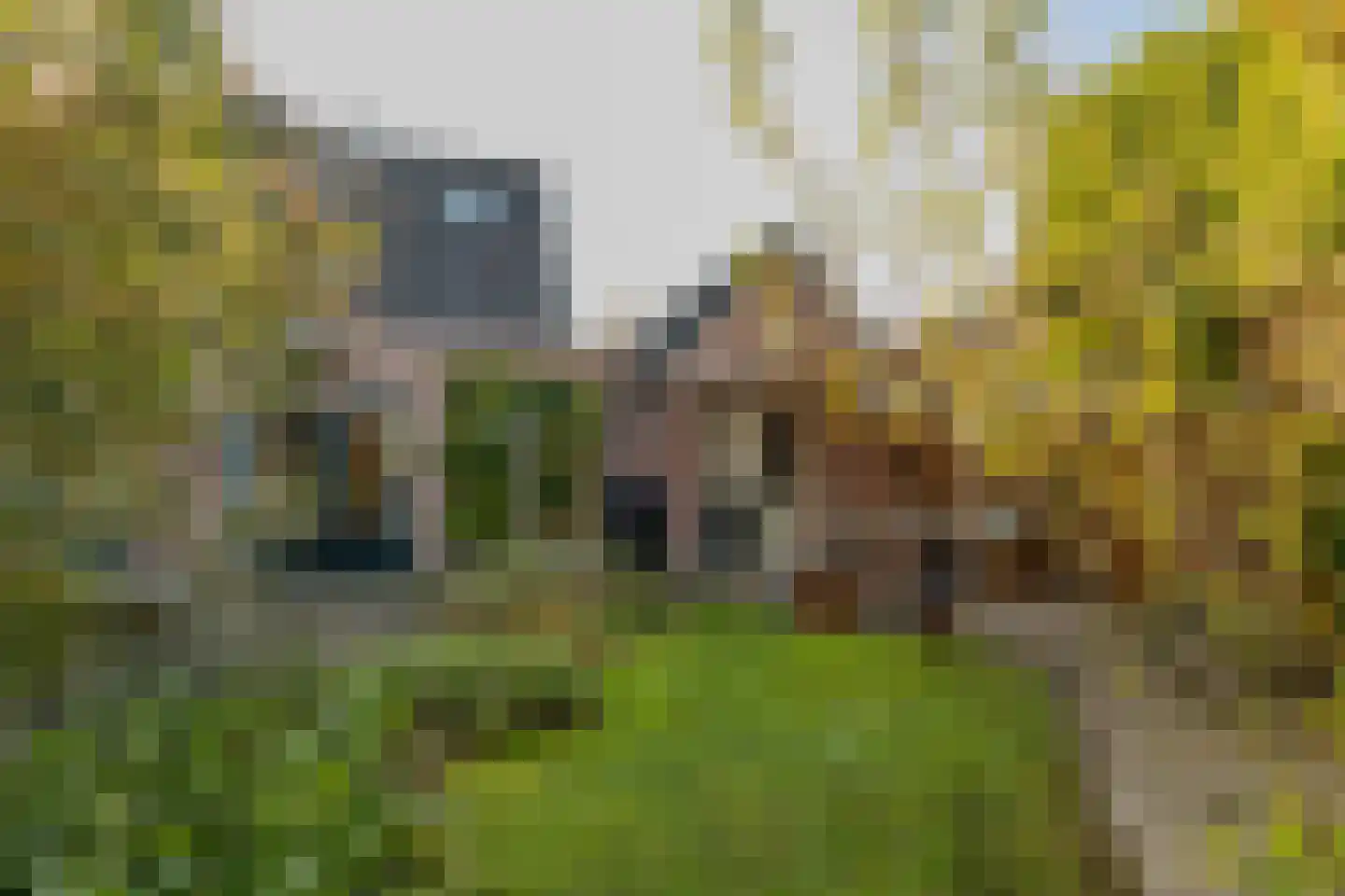 Etstoel 1 Zuidwolde thumbnail 50