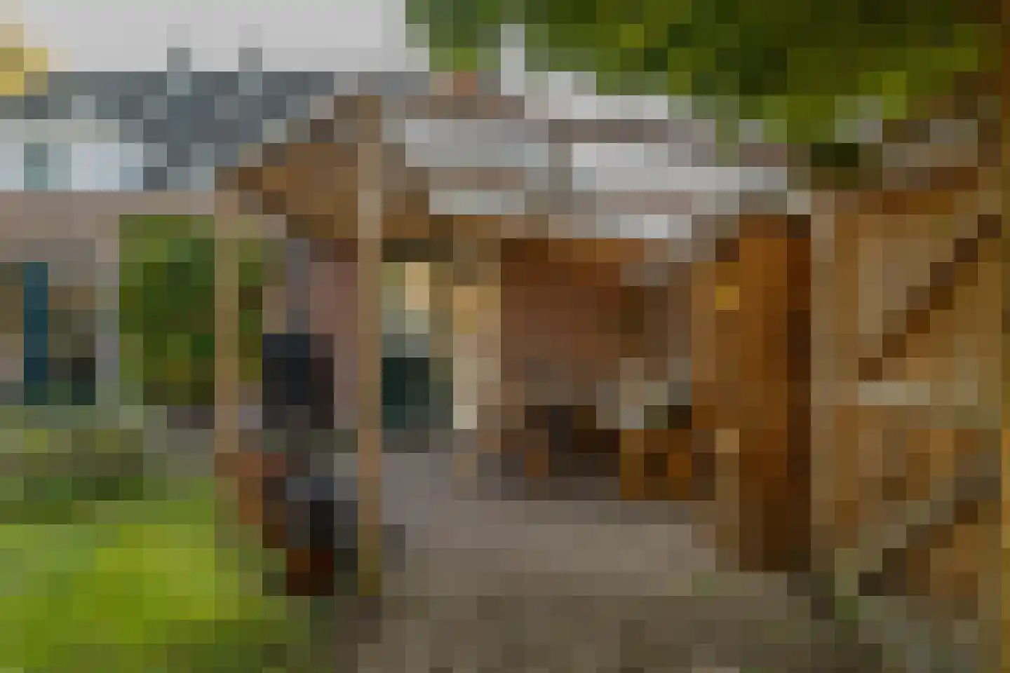 Etstoel 1 Zuidwolde thumbnail 54