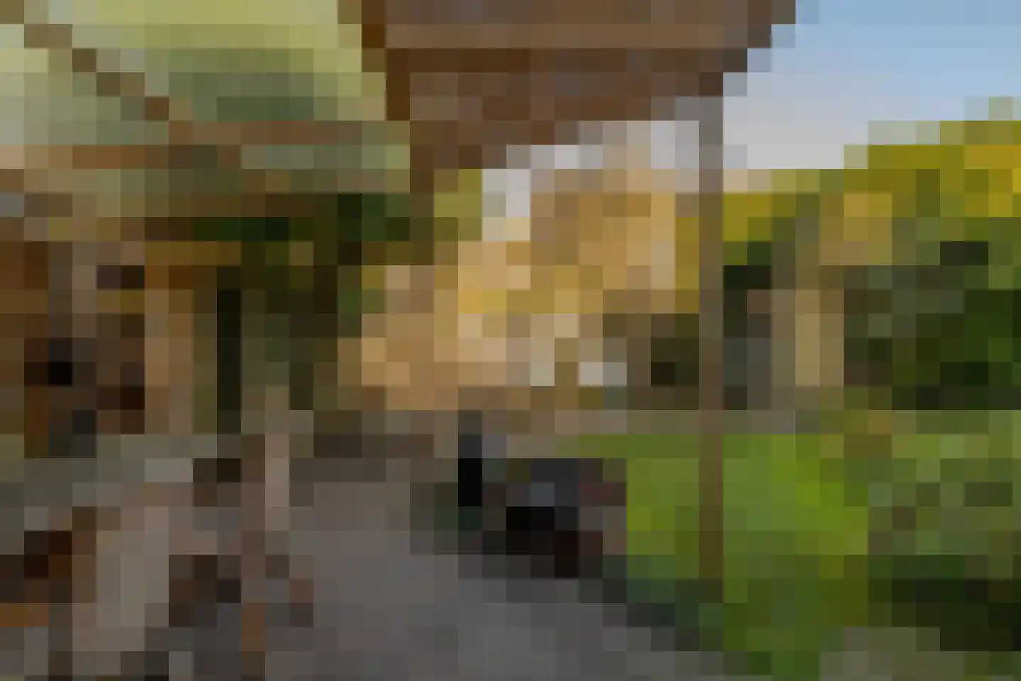 Etstoel 1 Zuidwolde thumbnail 55
