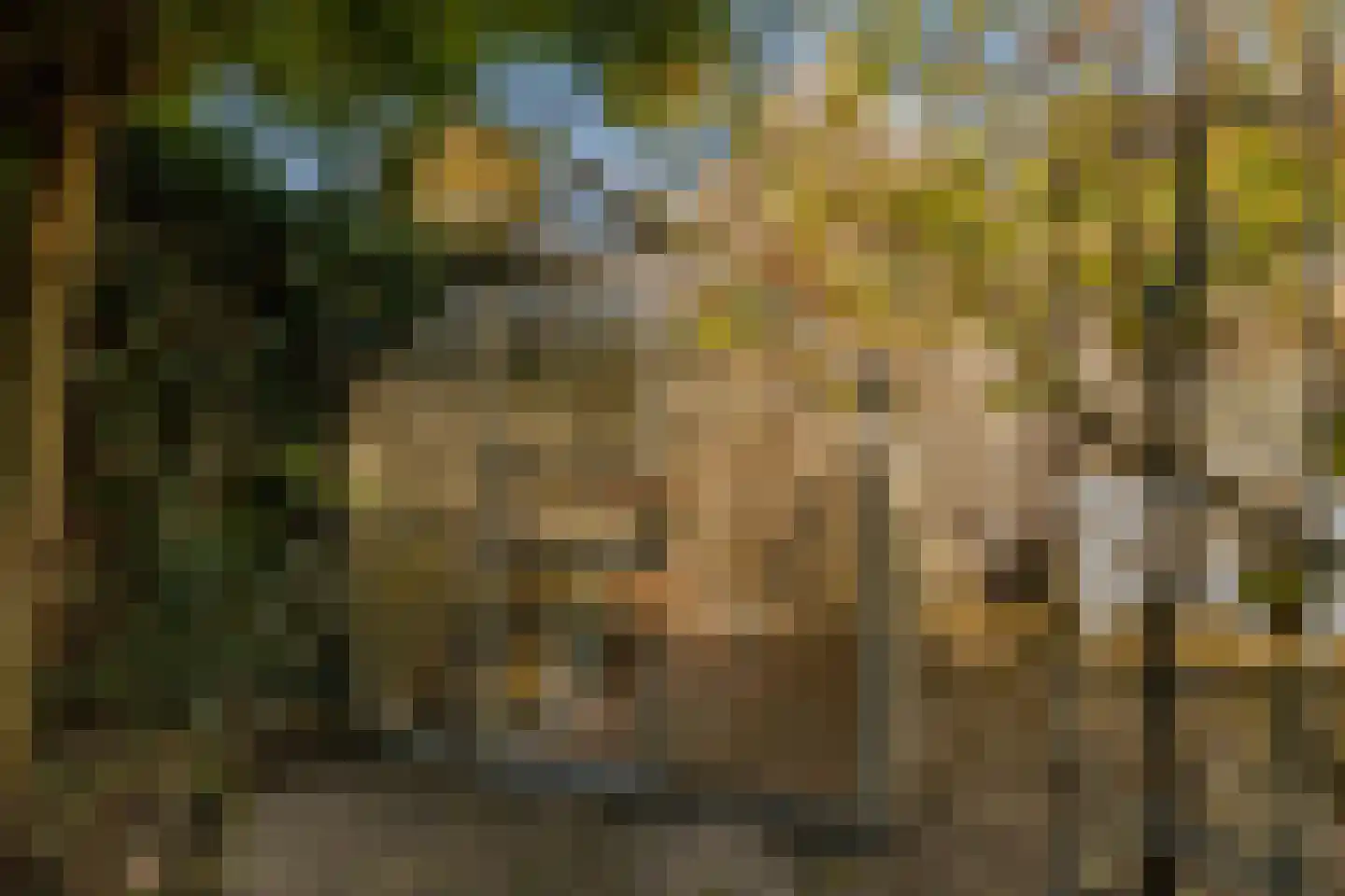 Etstoel 1 Zuidwolde thumbnail 56