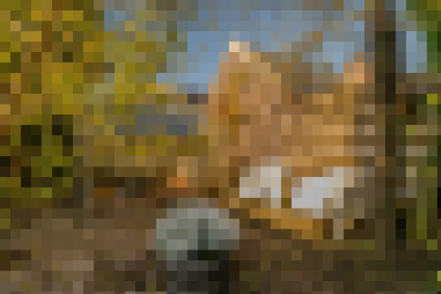 Etstoel 1 Zuidwolde thumbnail 57