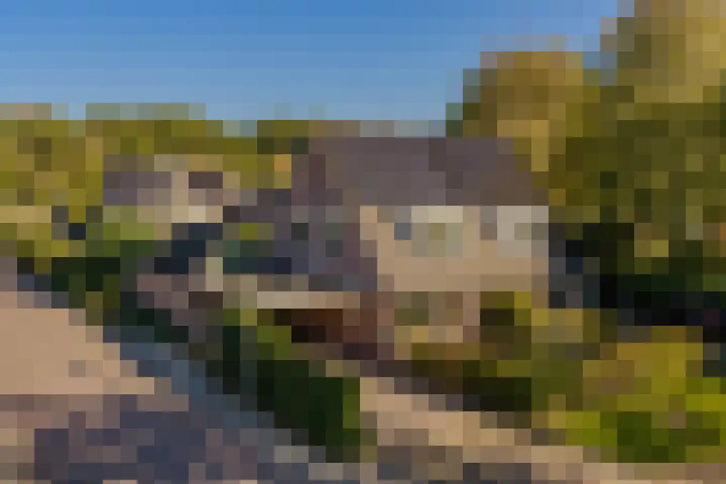 Etstoel 1 Zuidwolde thumbnail 59