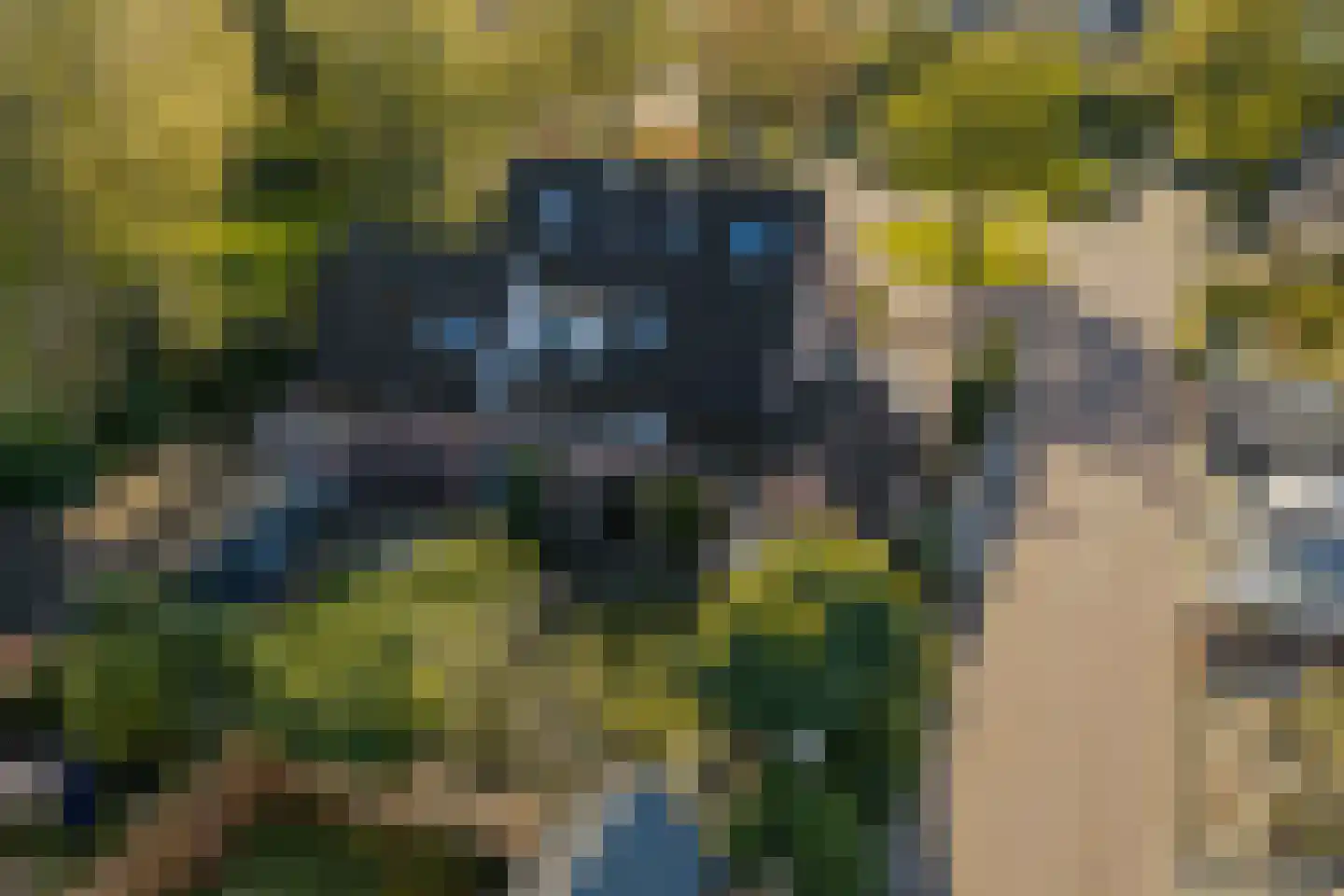 Etstoel 1 Zuidwolde thumbnail 60