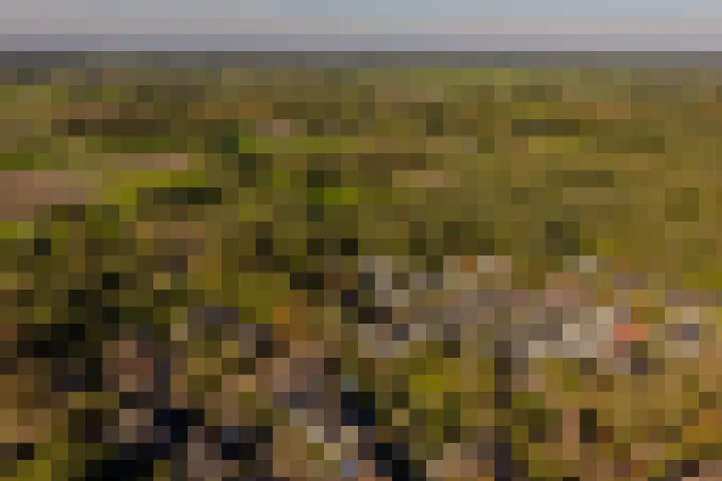 Etstoel 1 Zuidwolde thumbnail 63