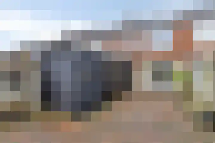 Etstoel 13 Vries thumbnail 13