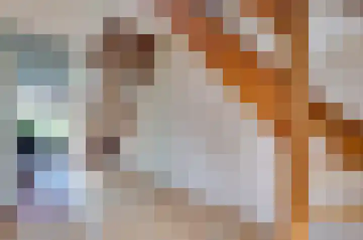 Etstoel 13 Vries thumbnail 20