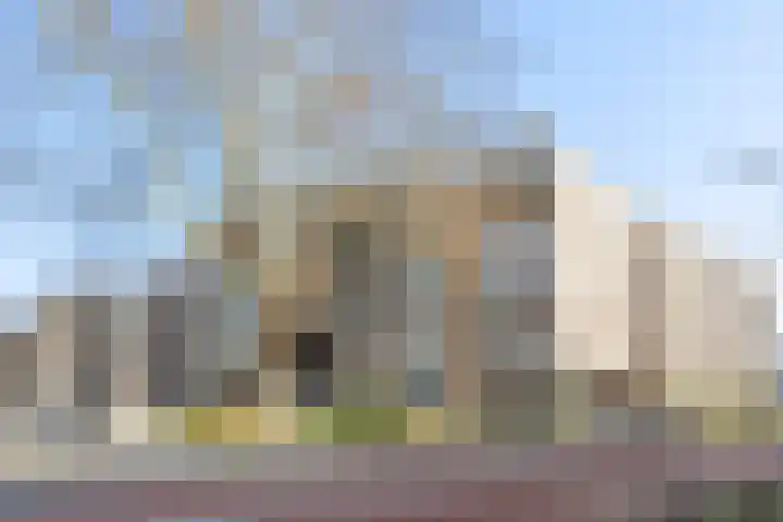 Etstoel 13 Vries thumbnail 25